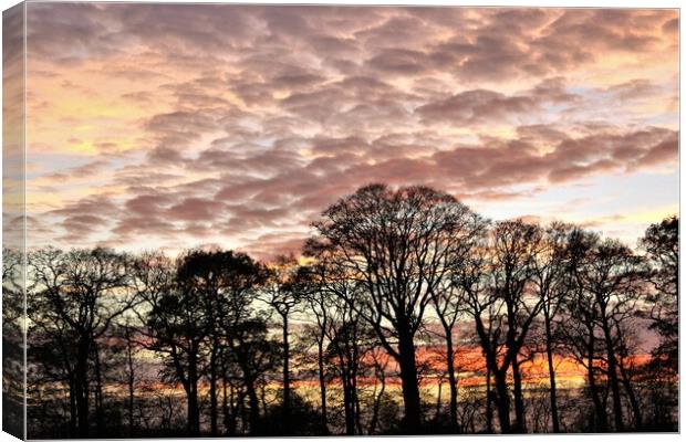 Sunset at Close house. Canvas Print by mick vardy