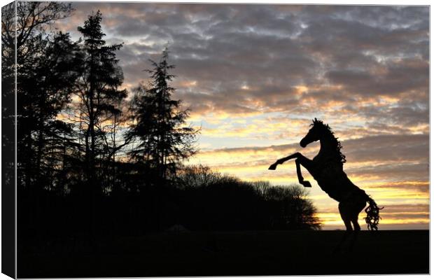 A chrome sky sunset with rearing stallion. Canvas Print by mick vardy