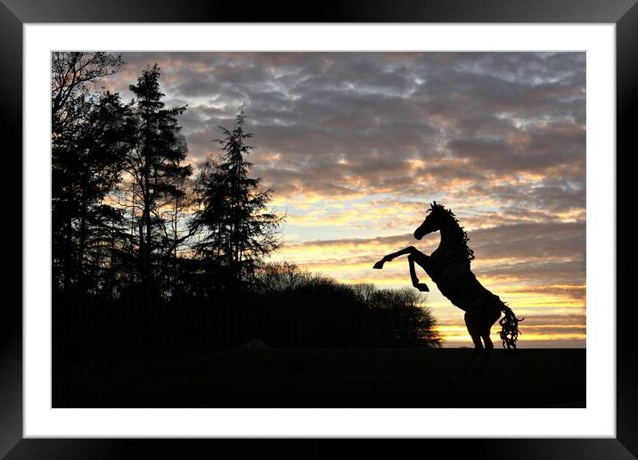 A chrome sky sunset with rearing stallion. Framed Mounted Print by mick vardy