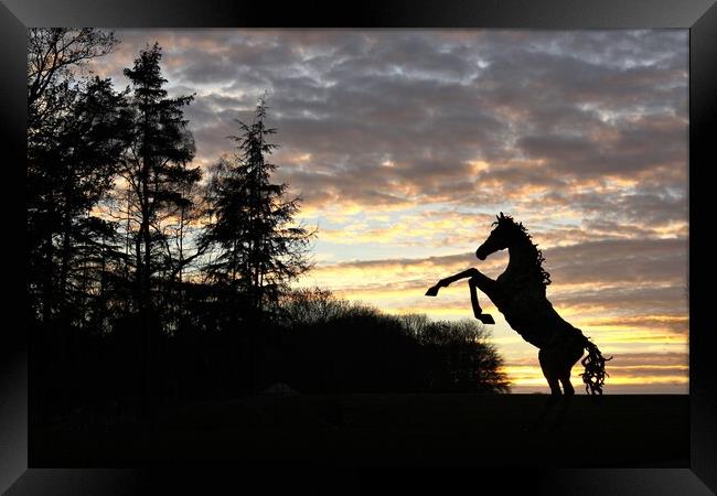 A chrome sky sunset with rearing stallion. Framed Print by mick vardy