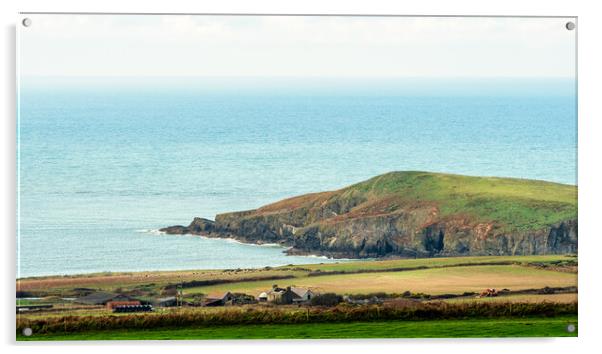 Cardigan Island, Ceredigion, Wales, UK Acrylic by Mark Llewellyn