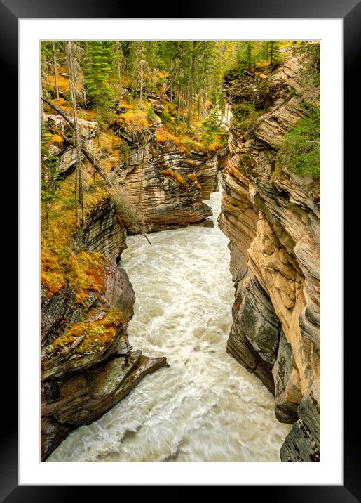 Canadian Rapids Framed Mounted Print by Mark Llewellyn