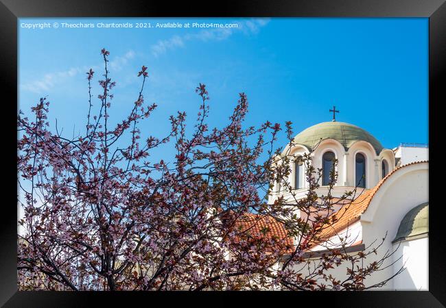 Cherry blossom tree against an Orthodox church. Framed Print by Theocharis Charitonidis