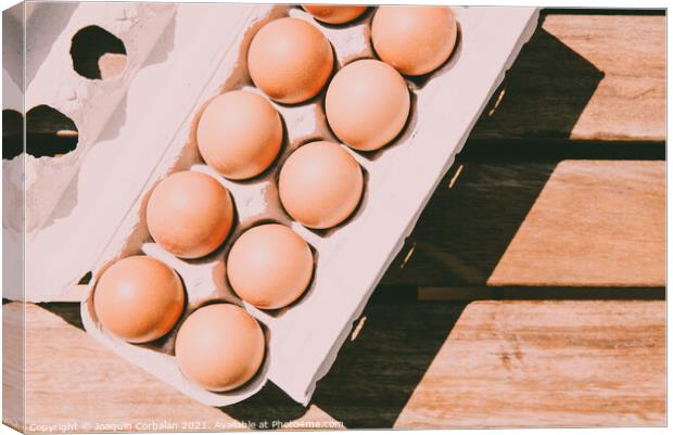 Recycled cardboard box with fresh eggs, viewed from above. Canvas Print by Joaquin Corbalan