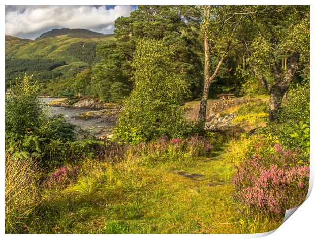 Loch Lomond In The Spring Print by Tylie Duff Photo Art