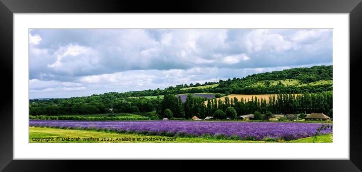 Lavender Fields , Castle Farm, Kent Framed Mounted Print by Deborah Welfare