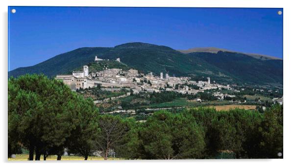 Assisi Umbria Italy  Acrylic by Philip Enticknap