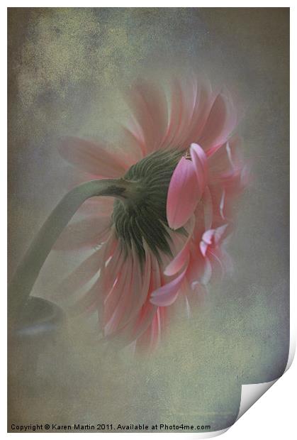 Gerbera in Vase Print by Karen Martin