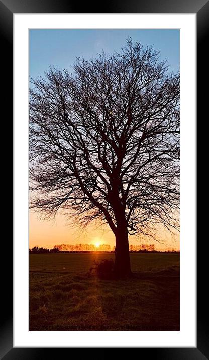 Silhouetted tree at sunset Chart Sutton Kent Framed Mounted Print by Deborah Welfare