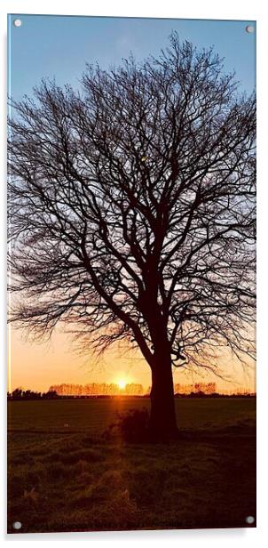 Silhouetted tree at sunset Chart Sutton Kent Acrylic by Deborah Welfare