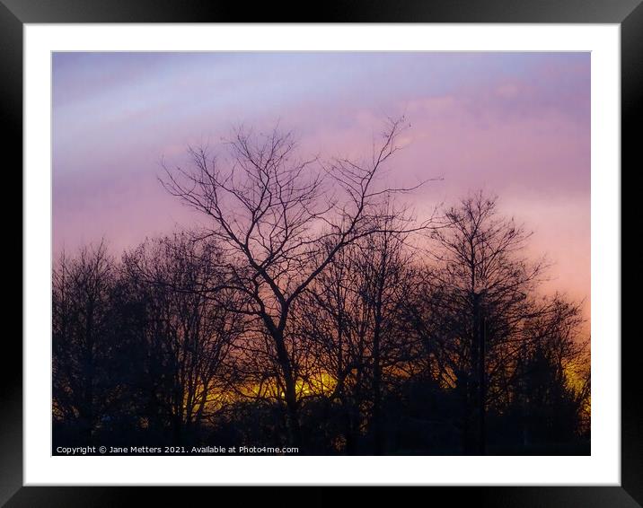 Sun Setting Behind the Trees Framed Mounted Print by Jane Metters