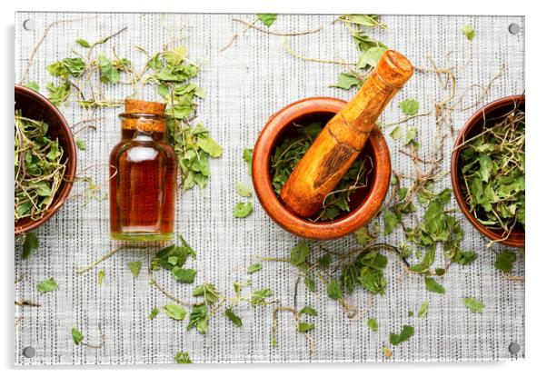 Orthilia in herbal medicine.Homeopathy and herbal  Acrylic by Mykola Lunov Mykola