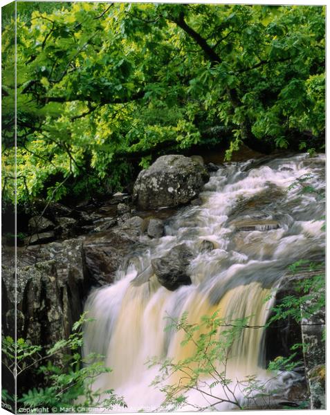 Woodland waterfall, Falls of Bracklinn, Stirling,  Canvas Print by Photimageon UK