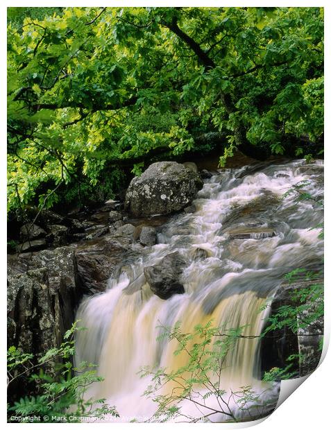 Woodland waterfall, Falls of Bracklinn, Stirling,  Print by Photimageon UK