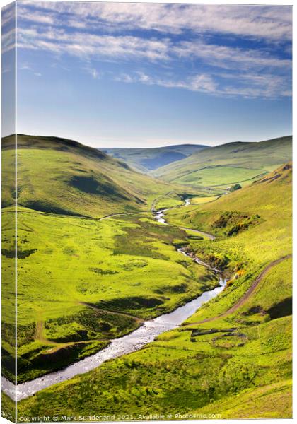 Upper Coquetdale Northumberland Canvas Print by Mark Sunderland