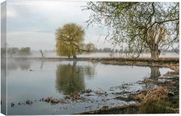 misty pond with old tree Canvas Print by Kevin White