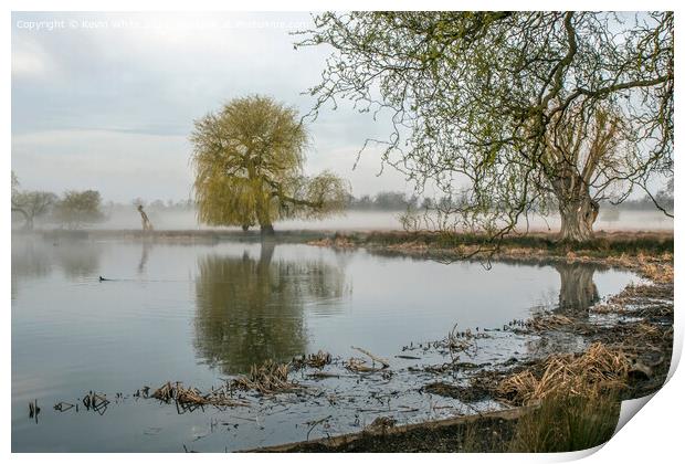 misty pond with old tree Print by Kevin White