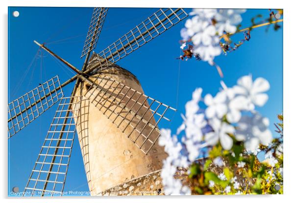 Historic windmill of Es Jonquet, Palma, Majorca Acrylic by MallorcaScape Images