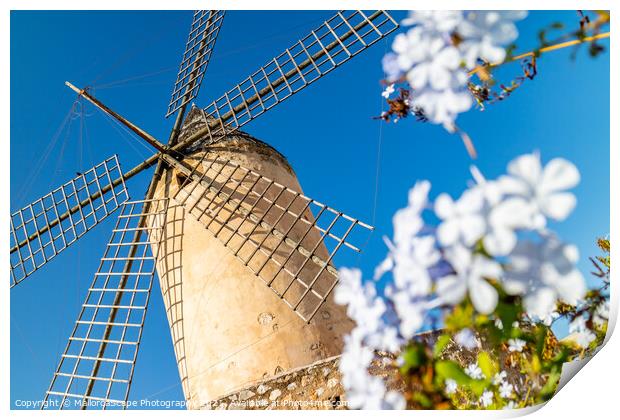 Historic windmill of Es Jonquet, Palma, Majorca Print by MallorcaScape Images