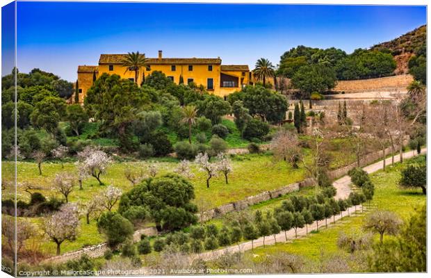 country estate in Majorca Canvas Print by MallorcaScape Images