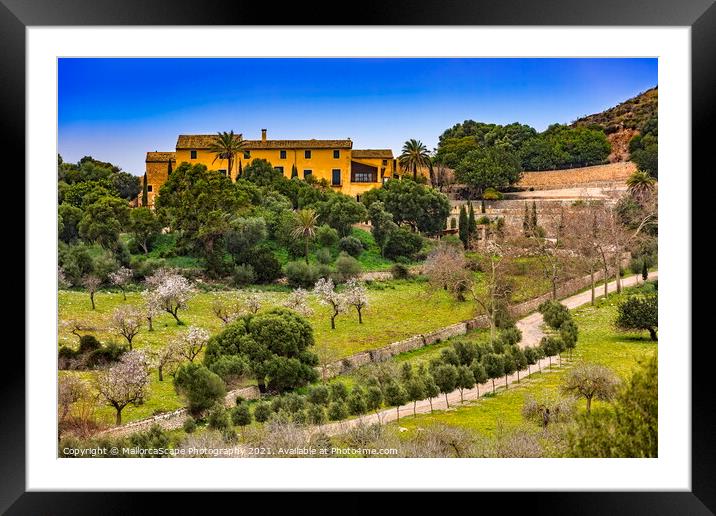 country estate in Majorca Framed Mounted Print by MallorcaScape Images