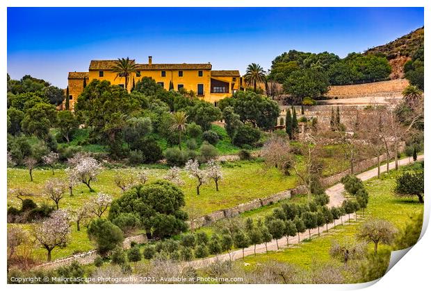 country estate in Majorca Print by MallorcaScape Images