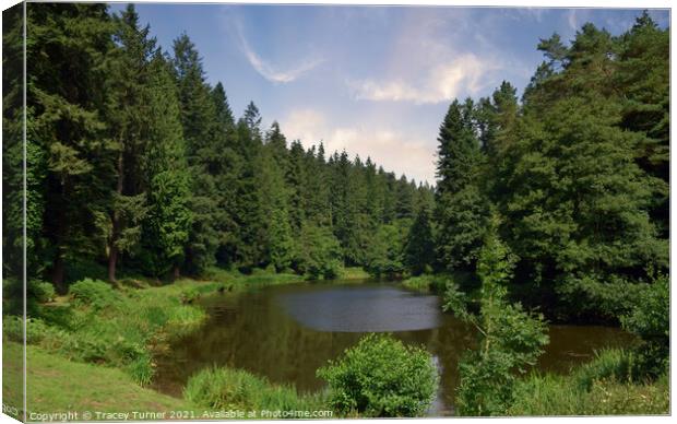 Soudley Ponds in the Forest of Dean Canvas Print by Tracey Turner