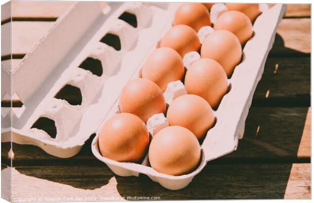 Brown eggs in a cardboard box bought from a local organic superm Canvas Print by Joaquin Corbalan