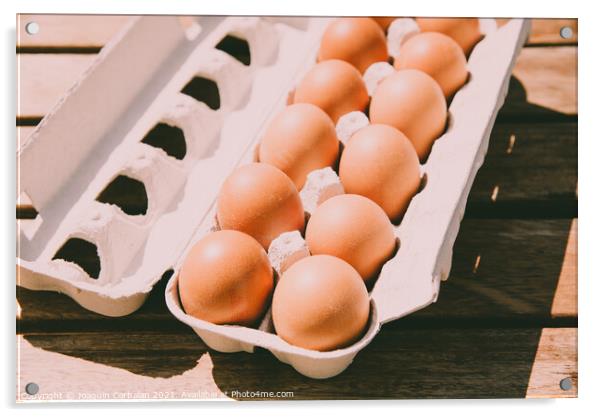 Brown eggs in a cardboard box bought from a local organic superm Acrylic by Joaquin Corbalan