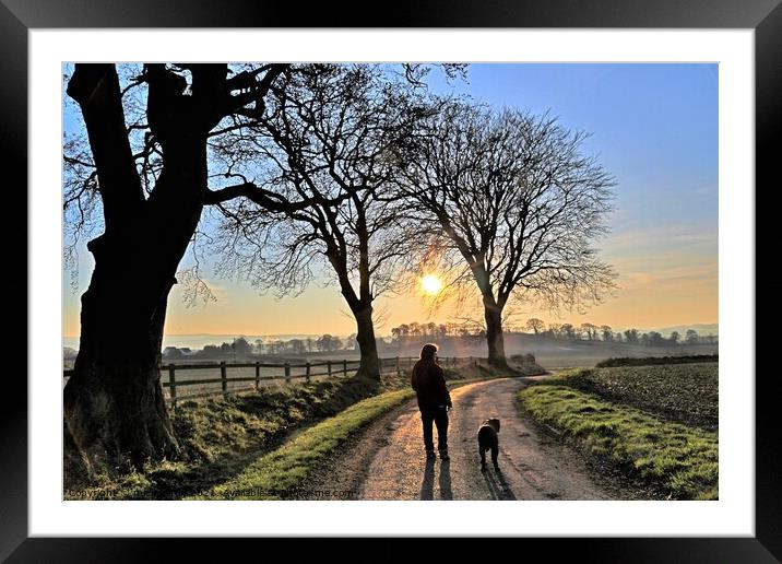 Going home at sunset Framed Mounted Print by mick vardy