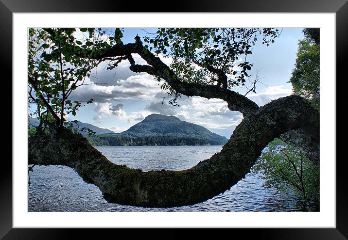 Forested Mountain On Loch Laggan Framed Mounted Print by Sandi-Cockayne ADPS