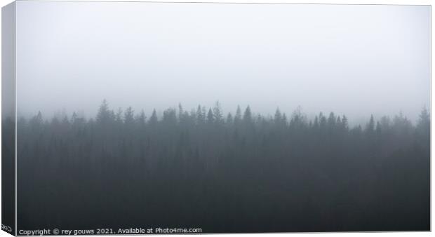 Slieve Donard forest, Northern Ireland Canvas Print by rey gouws