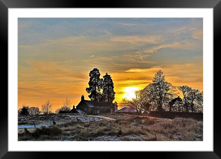 Winter sunset near Wylam Framed Mounted Print by mick vardy