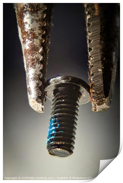 Screw in Needle Nose  Print by STEPHEN THOMAS