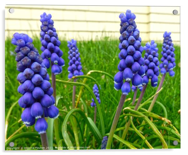 Lavender Bells in a Grape Garden Acrylic by Deanne Flouton