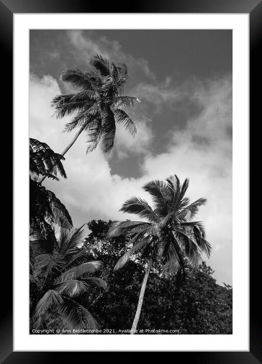 palm trees and sky in monochrome Framed Mounted Print by Ann Biddlecombe