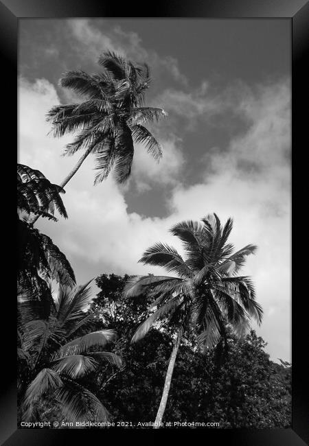 palm trees and sky in monochrome Framed Print by Ann Biddlecombe