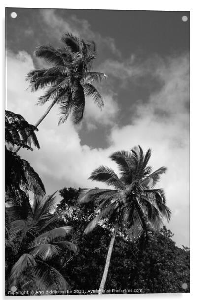 palm trees and sky in monochrome Acrylic by Ann Biddlecombe