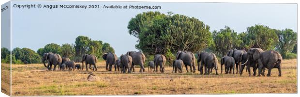 Elephants on the move panorama, Uganda Canvas Print by Angus McComiskey