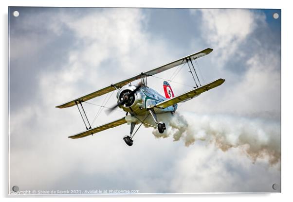 Bucker Jungmeister G-BUTX close fly past Acrylic by Steve de Roeck