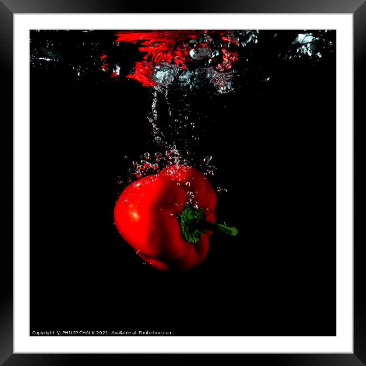 red pepper splash with black background still life 441 Framed Mounted Print by PHILIP CHALK