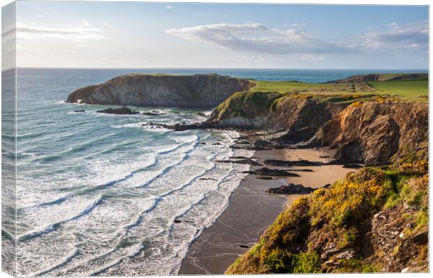 Traeth Llyfn, Pembrokeshire, Wales Canvas Print by Andrew Kearton