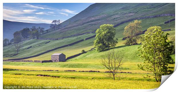 Buttercup Valley, Yorkshire Dales Print by Jim Monk