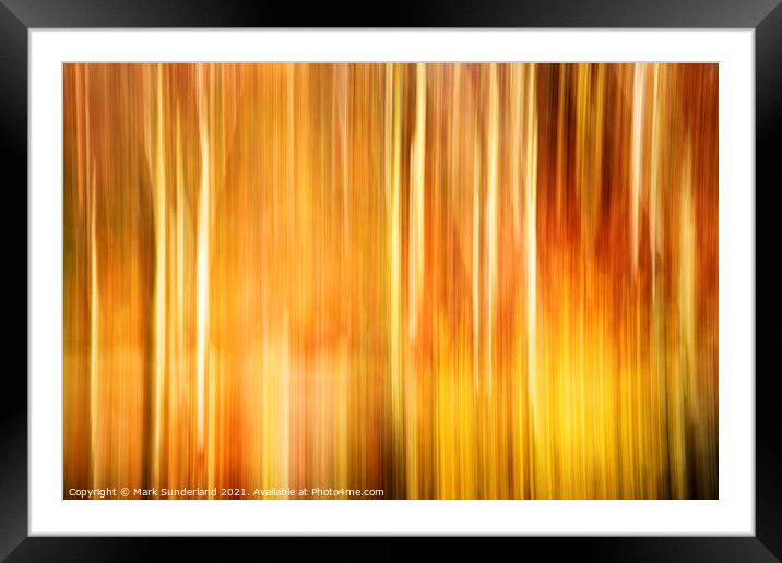 Birch Trunks and Autumn Leaves Framed Mounted Print by Mark Sunderland