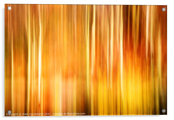 Birch Trunks and Autumn Leaves Acrylic by Mark Sunderland