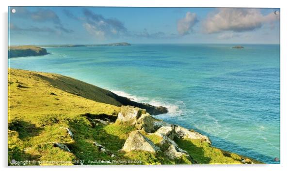 Trevose Head From Stepper Point. Acrylic by Neil Mottershead