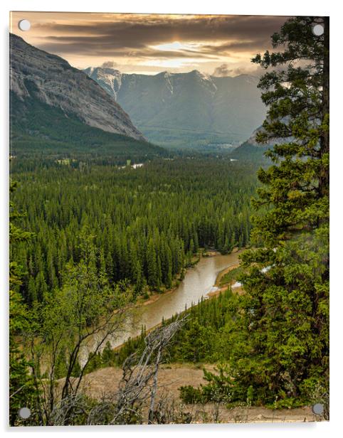 Quiet River, Alberta, Canada Acrylic by Mark Llewellyn