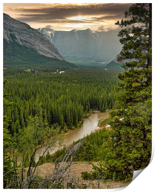 Quiet River, Alberta, Canada Print by Mark Llewellyn