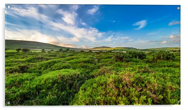 Preseli Vista, Pembrokeshire, Wales, UK Acrylic by Mark Llewellyn