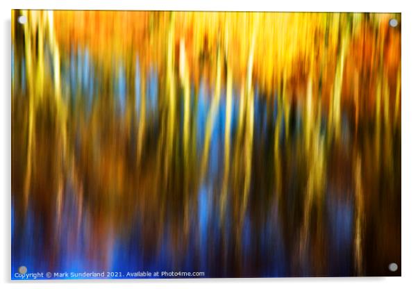 Autumn Reflections Thruscross Reservoir Acrylic by Mark Sunderland